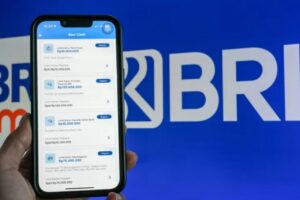 virtual account bri
