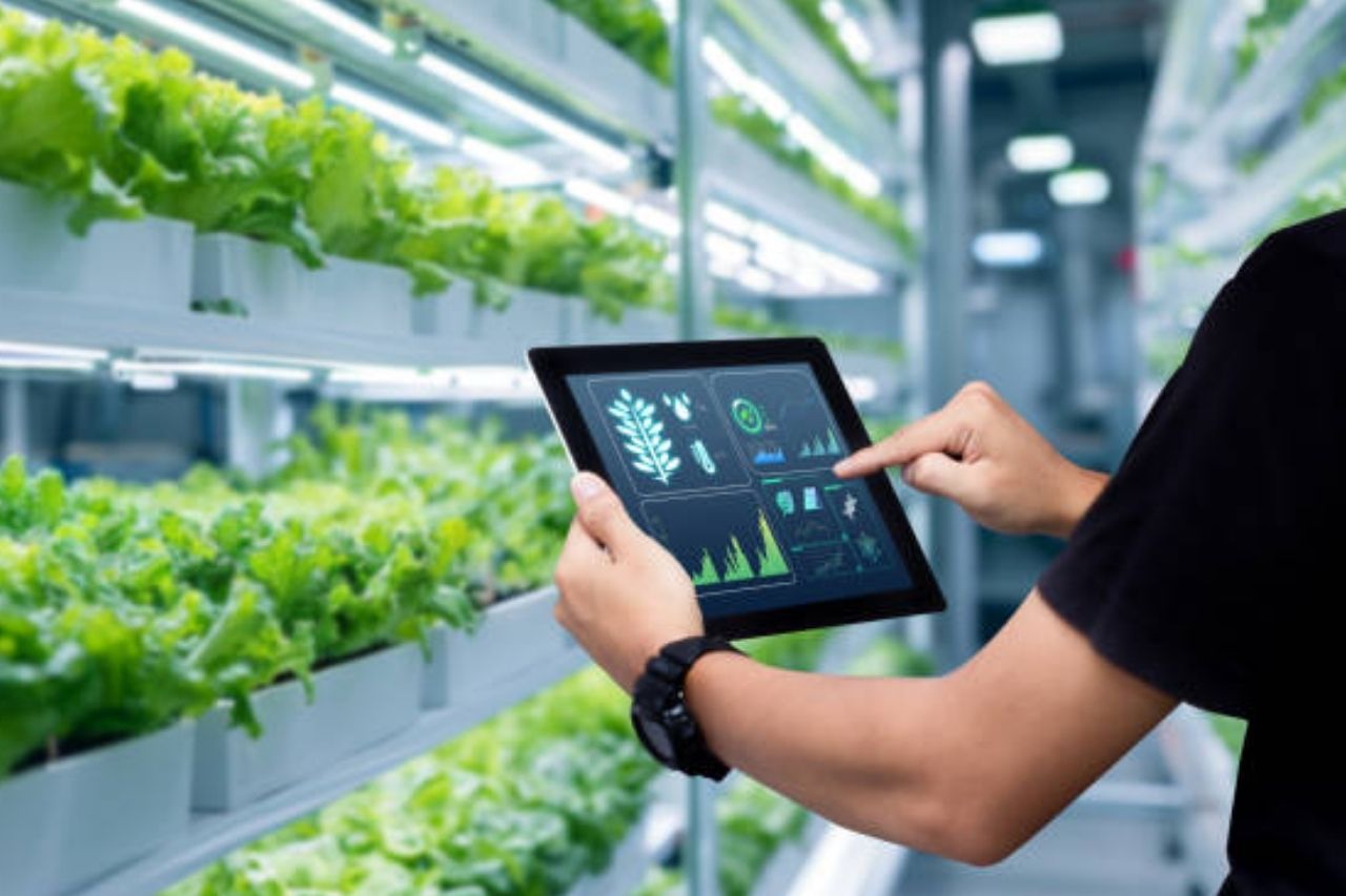 Rekomendasi Aplikasi Pertanian untuk Agribisnis